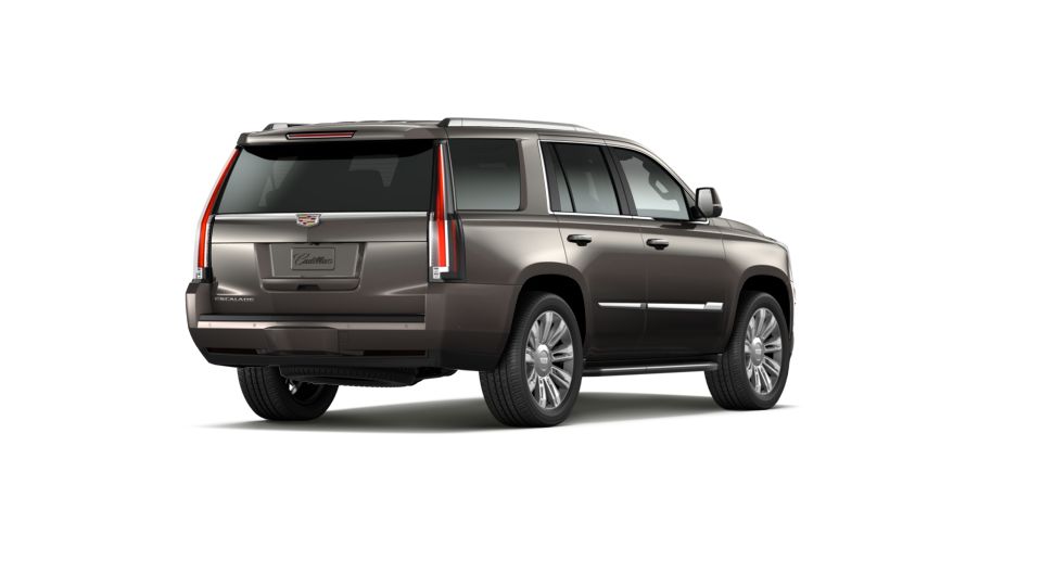 2020 Cadillac Escalade Vehicle Photo in AIKEN, SC 29801-6313