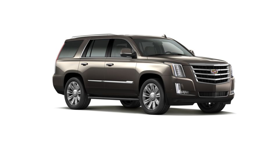 2020 Cadillac Escalade Vehicle Photo in AIKEN, SC 29801-6313