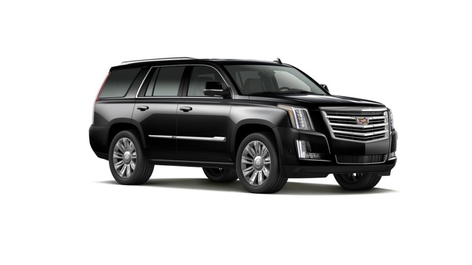 2020 Cadillac Escalade Vehicle Photo in NORWOOD, MA 02062-5222