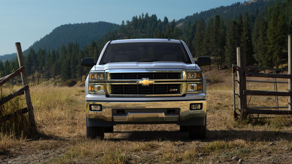 2014 Chevrolet Silverado 1500 Vehicle Photo in SELMA, TX 78154-1460