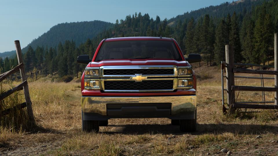 2014 Chevrolet Silverado 1500 Vehicle Photo in LEESBURG, FL 34788-4022