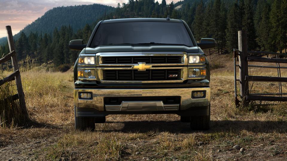 2015 Chevrolet Silverado 1500 Vehicle Photo in MARION, NC 28752-6372