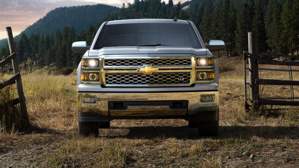 2015 Chevrolet Silverado 1500 Vehicle Photo in GRAND BLANC, MI 48439-8139