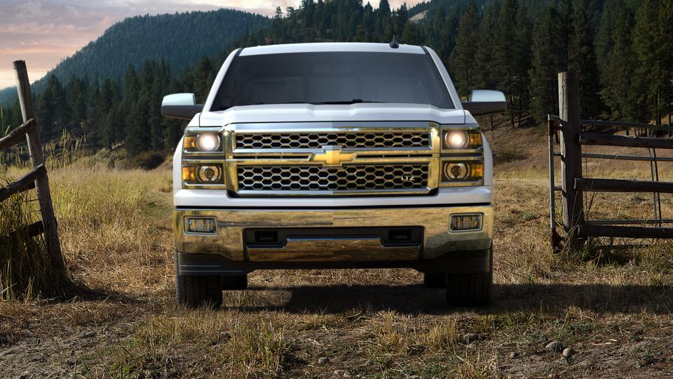 2015 Chevrolet Silverado 1500 Vehicle Photo in GRAND LEDGE, MI 48837-9199