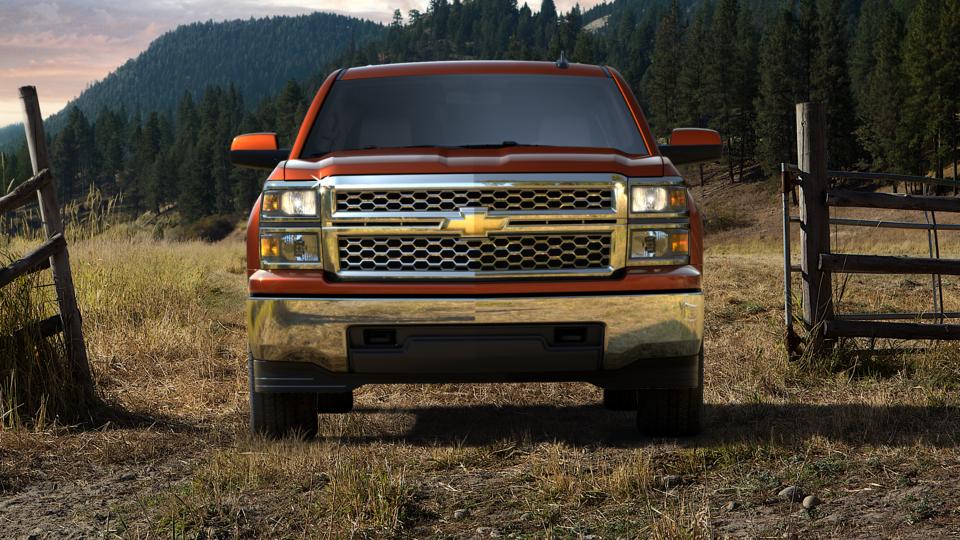 2015 Chevrolet Silverado 1500 Vehicle Photo in Bluffton, SC 29910