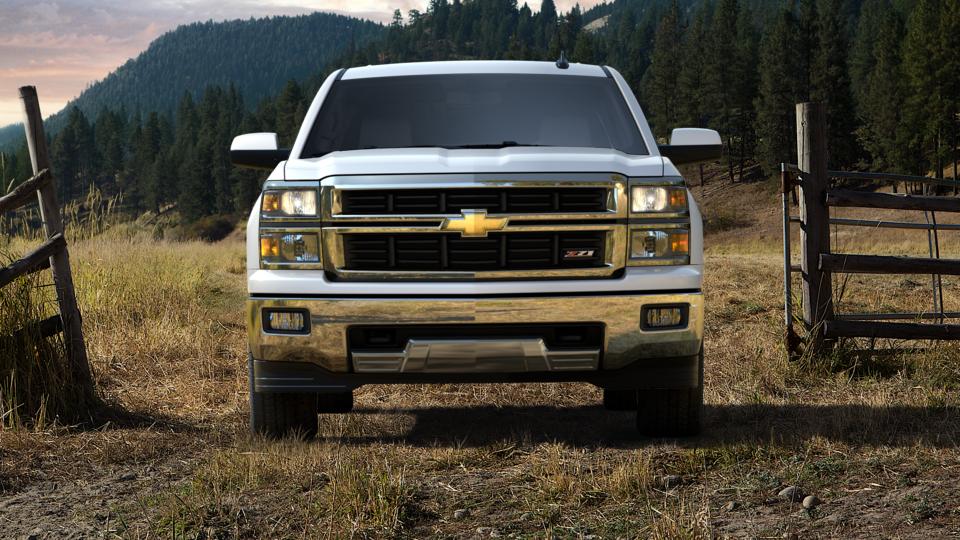 2015 Chevrolet Silverado 1500 Vehicle Photo in Panama City, FL 32401