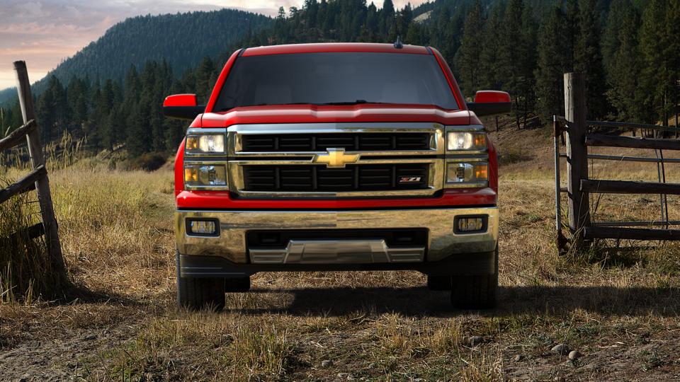 2015 Chevrolet Silverado 1500 Vehicle Photo in AKRON, OH 44320-4088