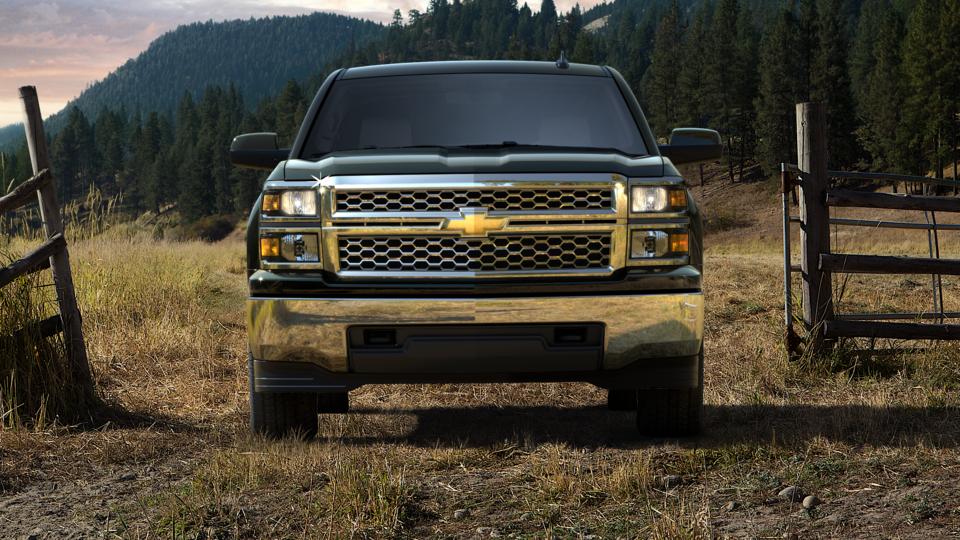 2015 Chevrolet Silverado 1500 Vehicle Photo in CLEARWATER, FL 33764-7163