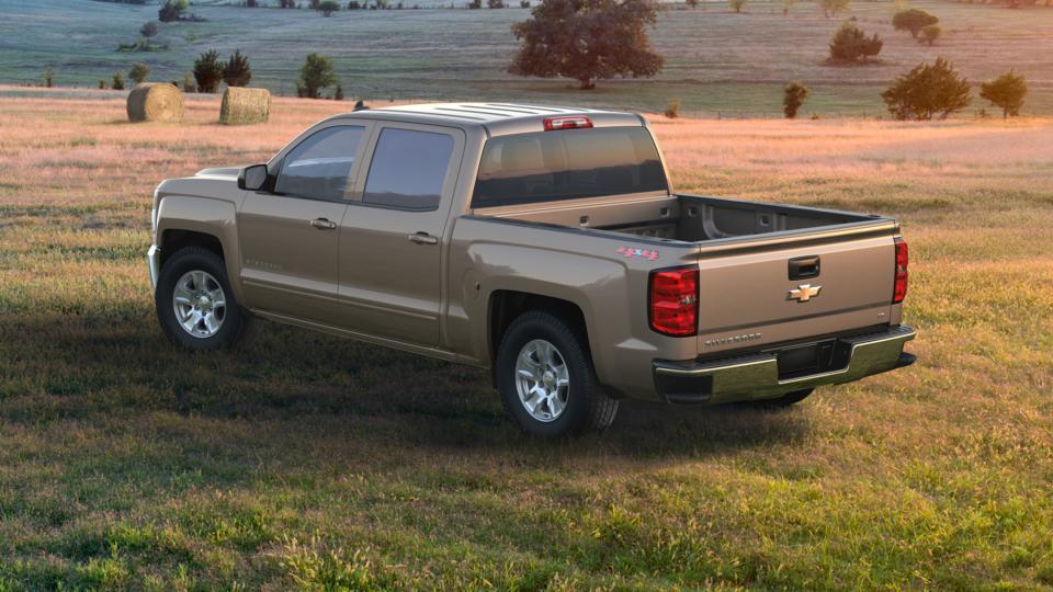 2017 Chevrolet Silverado 1500 Vehicle Photo in ROXBORO, NC 27573-6143