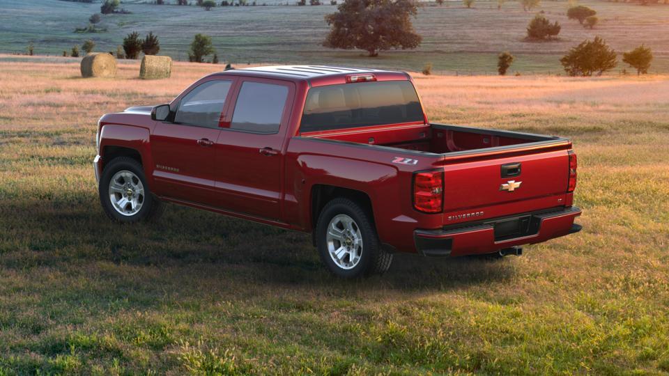 2017 Chevrolet Silverado 1500 Vehicle Photo in Panama City, FL 32401