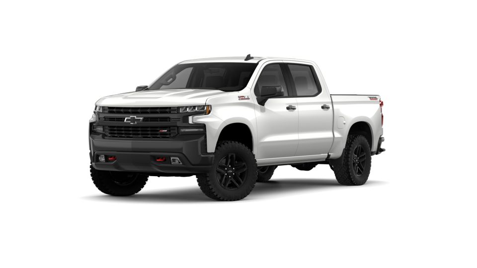 2019 Chevrolet Silverado 1500 Vehicle Photo in SELMA, TX 78154-1460