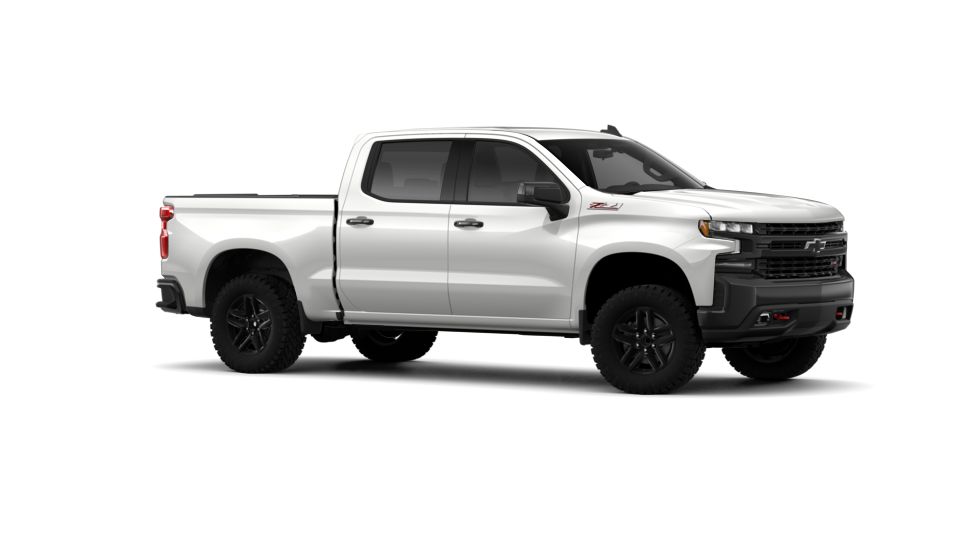 2019 Chevrolet Silverado 1500 Vehicle Photo in SELMA, TX 78154-1460