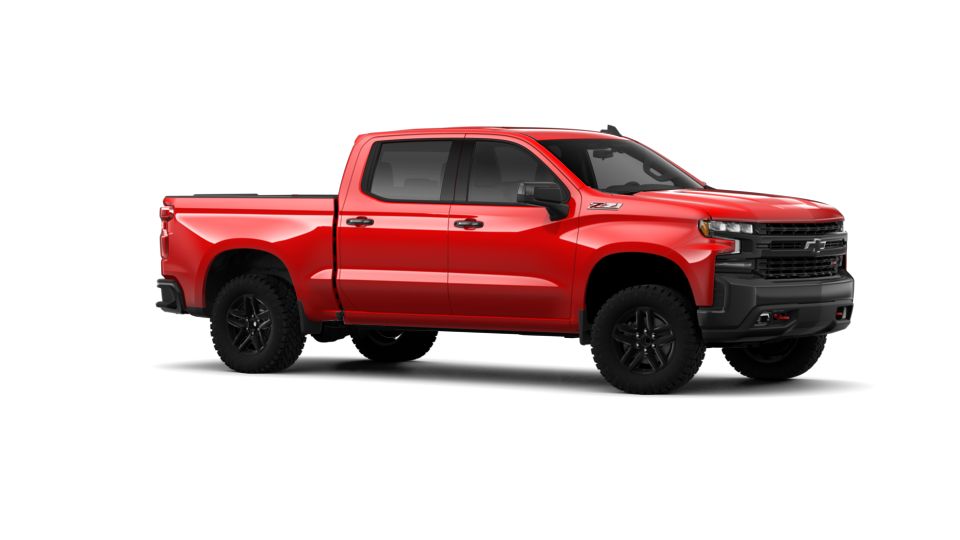 2019 Chevrolet Silverado 1500 Vehicle Photo in DALLAS, TX 75244-5909