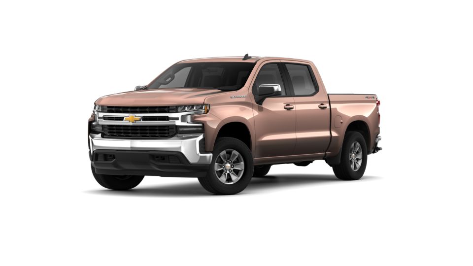 2019 Chevrolet Silverado 1500 Vehicle Photo in CORPUS CHRISTI, TX 78412-4902