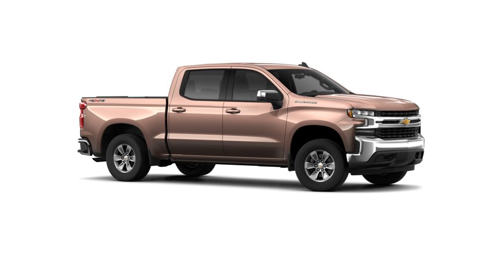 2019 Chevrolet Silverado 1500 Vehicle Photo in CORPUS CHRISTI, TX 78412-4902