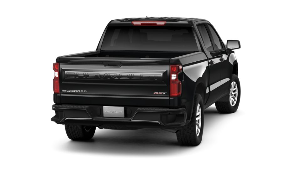 2019 Chevrolet Silverado 1500 Vehicle Photo in LIGHTHOUSE POINT, FL 33064-6849