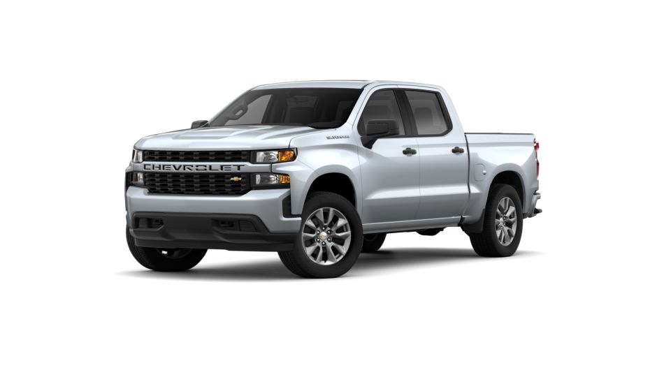 2019 Chevrolet Silverado 1500 Vehicle Photo in Bradenton, FL 34207