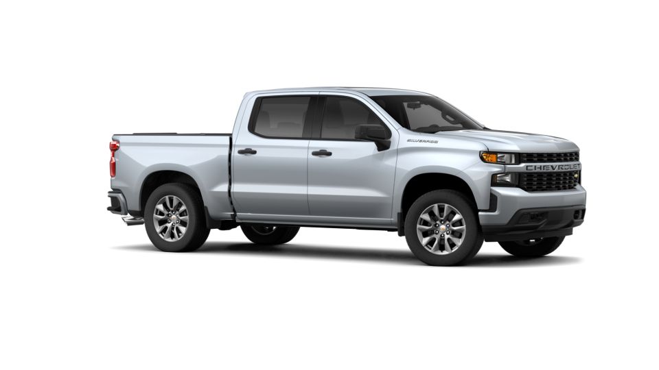 2019 Chevrolet Silverado 1500 Vehicle Photo in Bradenton, FL 34207