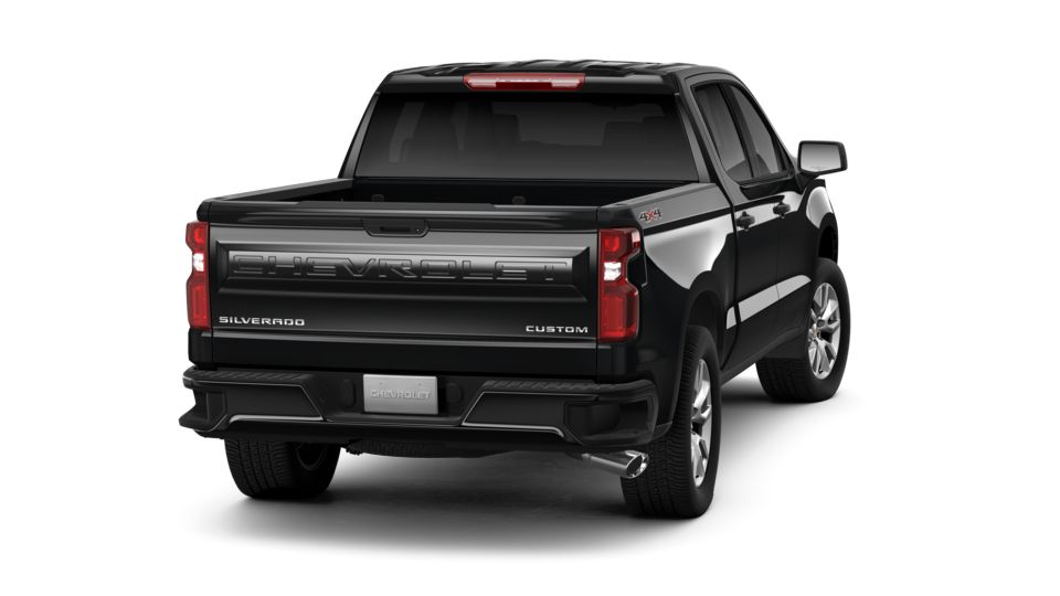 2019 Chevrolet Silverado 1500 Vehicle Photo in GREEN BAY, WI 54303-3330