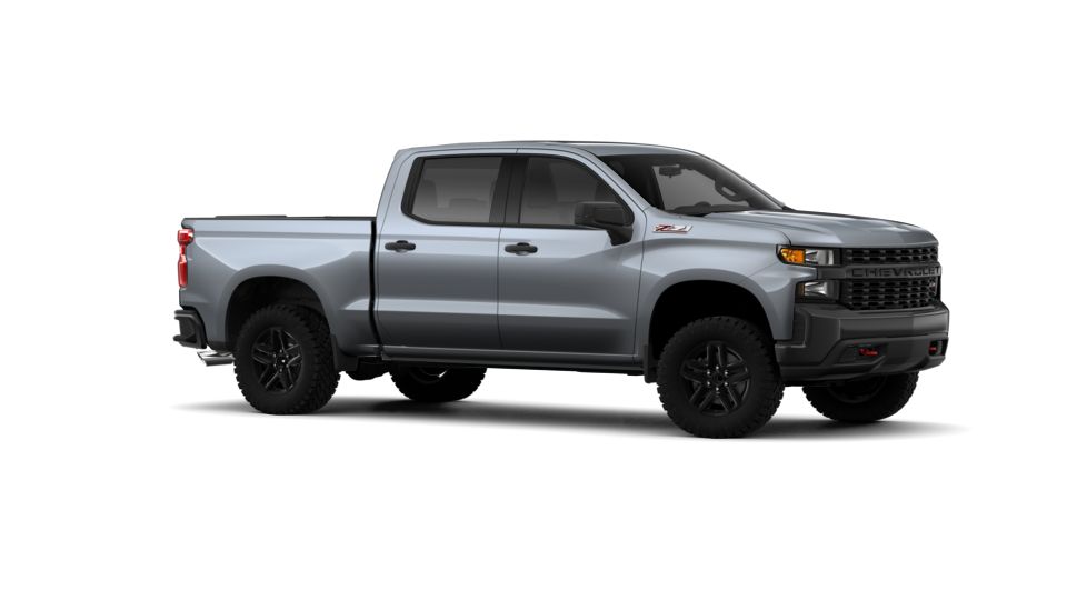 2019 Chevrolet Silverado 1500 Vehicle Photo in GRAND BLANC, MI 48439-8139