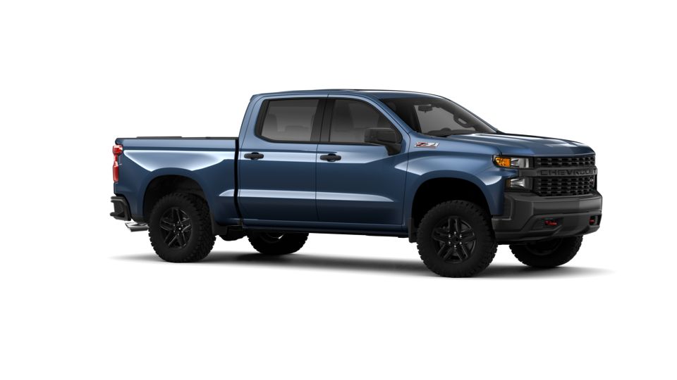 2019 Chevrolet Silverado 1500 Vehicle Photo in ORLANDO, FL 32812-3021