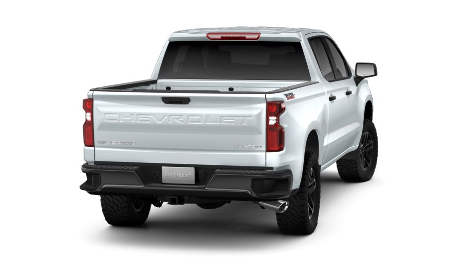 2019 Chevrolet Silverado 1500 Vehicle Photo in COLUMBIA, MO 65203-3903