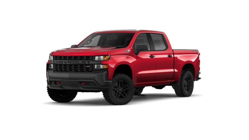 2019 Chevrolet Silverado 1500 Vehicle Photo in Panama City, FL 32401