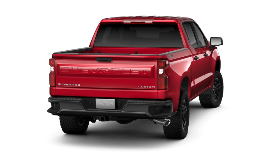 2019 Chevrolet Silverado 1500 Vehicle Photo in Panama City, FL 32401