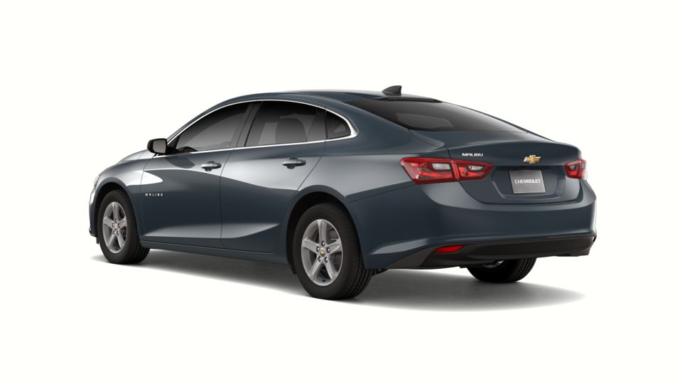 2019 Chevrolet Malibu Vehicle Photo in Jacksonville, FL 32256