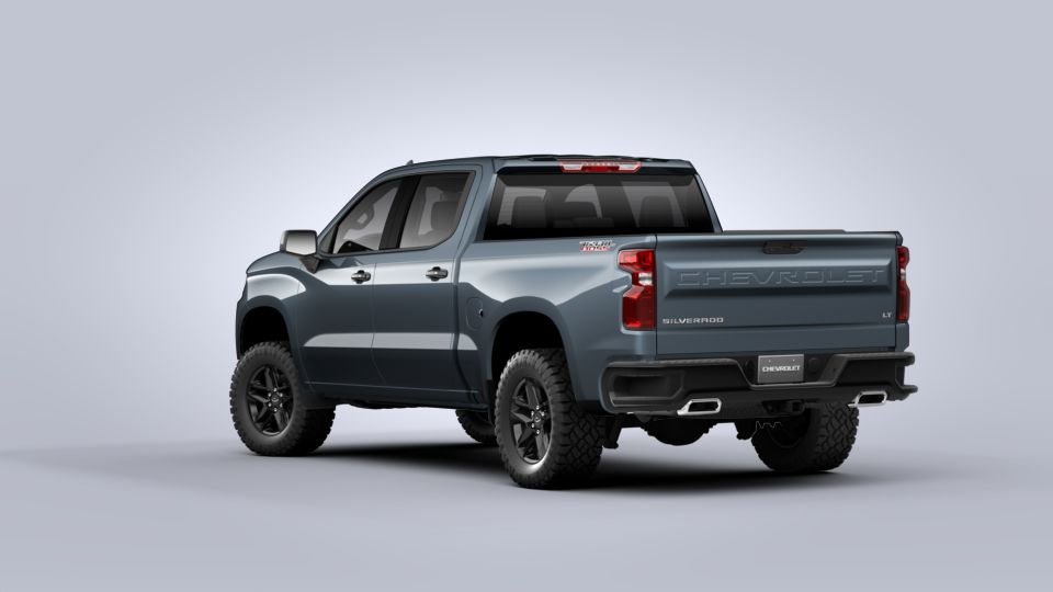 2020 Chevrolet Silverado 1500 Vehicle Photo in AKRON, OH 44320-4088