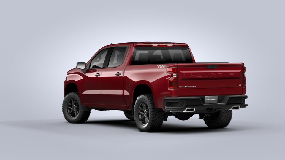 2020 Chevrolet Silverado 1500 Vehicle Photo in SELMA, TX 78154-1460