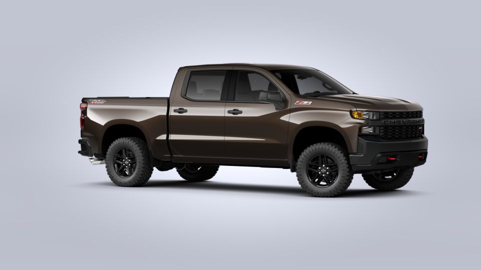 2020 Chevrolet Silverado 1500 Vehicle Photo in ORLANDO, FL 32812-3021