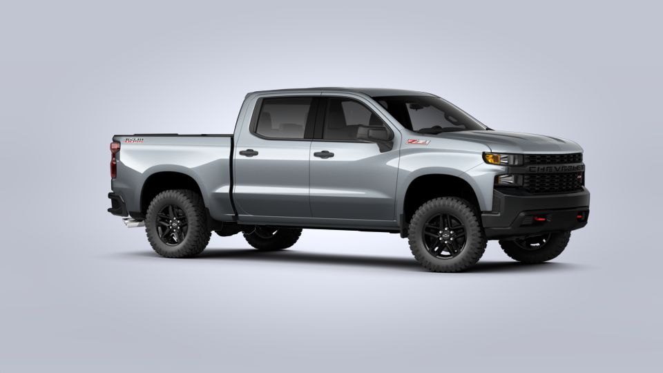 2020 Chevrolet Silverado 1500 Vehicle Photo in OWATONNA, MN 55060-4060