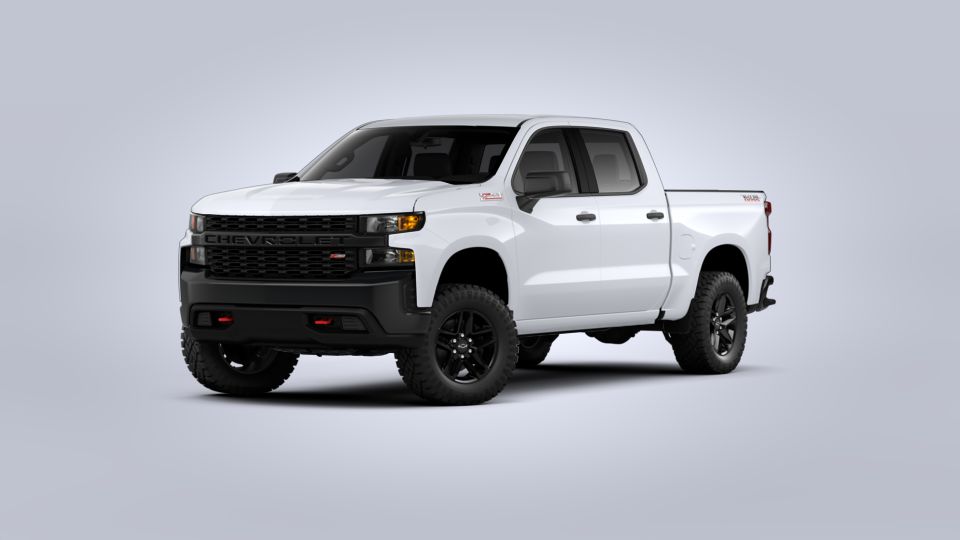 2020 Chevrolet Silverado 1500 Vehicle Photo in HOUSTON, TX 77034-5009