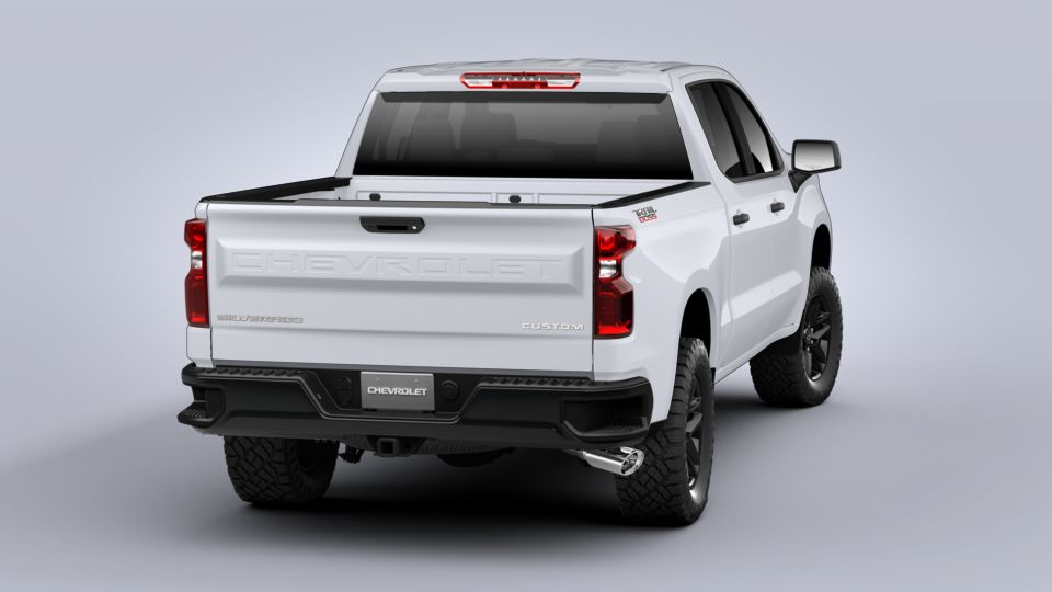 2020 Chevrolet Silverado 1500 Vehicle Photo in BOISE, ID 83705-3761