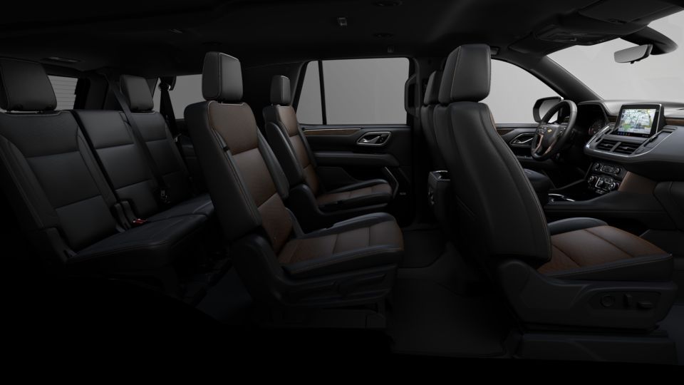 2021 Chevrolet Tahoe Vehicle Photo in DETROIT, MI 48207-4102