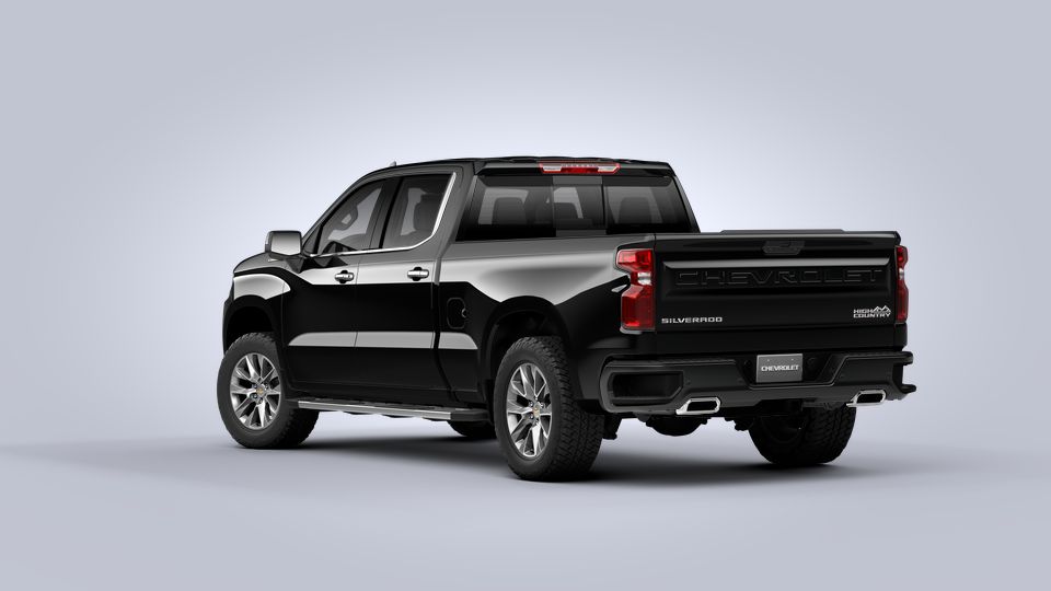 2021 Chevrolet Silverado 1500 Vehicle Photo in WASILLA, AK 99654-8339