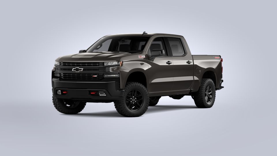 2021 Chevrolet Silverado 1500 Vehicle Photo in TIMONIUM, MD 21093-2300