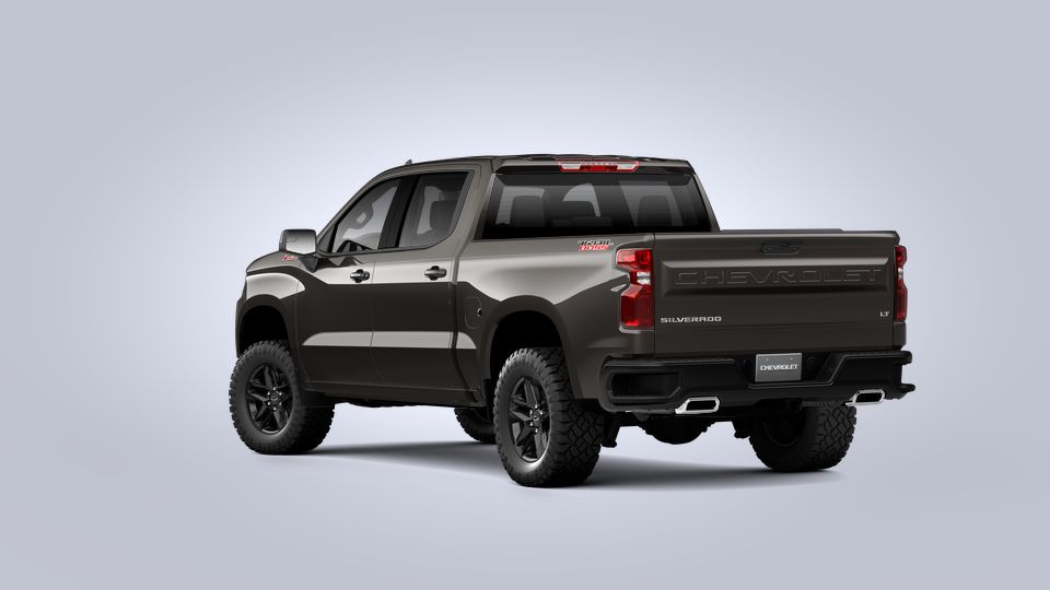 2021 Chevrolet Silverado 1500 Vehicle Photo in TIMONIUM, MD 21093-2300