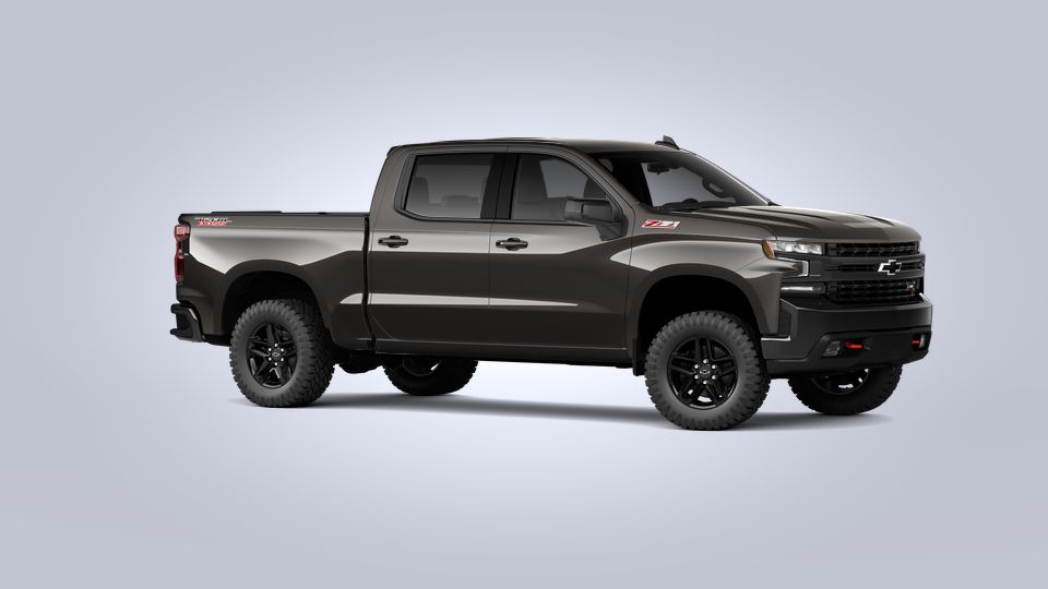 2021 Chevrolet Silverado 1500 Vehicle Photo in TIMONIUM, MD 21093-2300