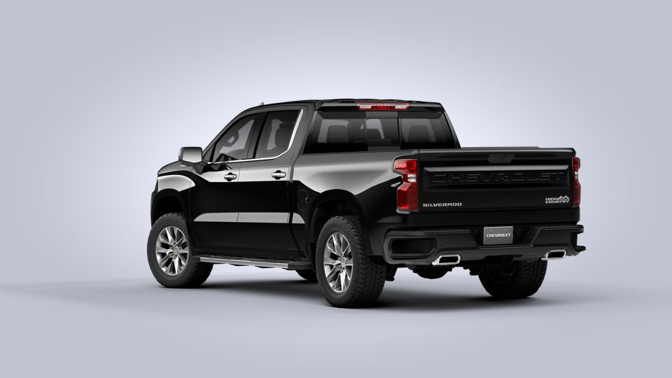 2021 Chevrolet Silverado 1500 Vehicle Photo in DUNN, NC 28334-8900