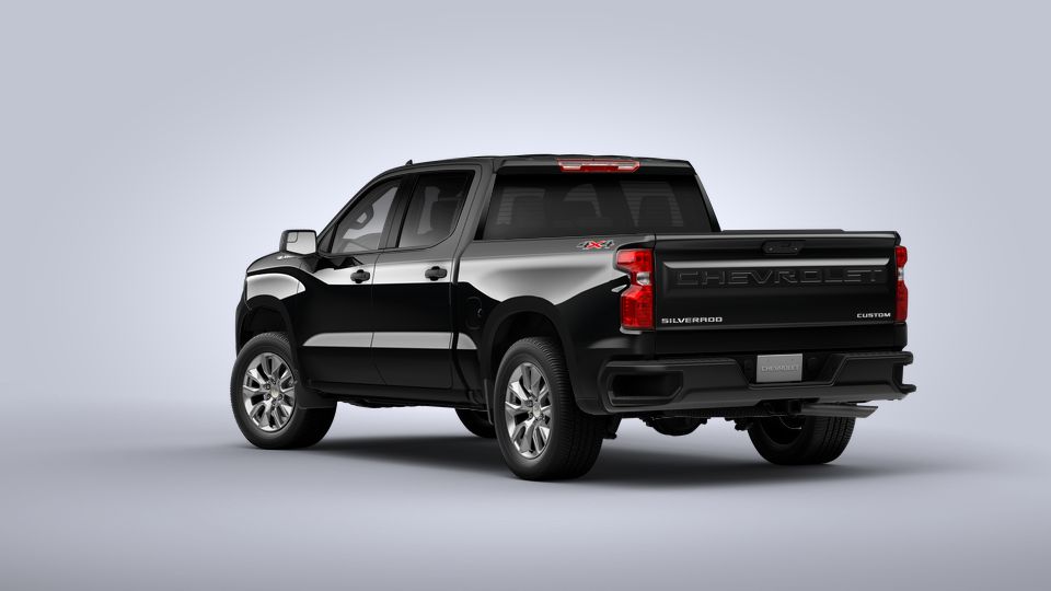 2022 Chevrolet Silverado 1500 Vehicle Photo in BOSTON, NY 14025-9684