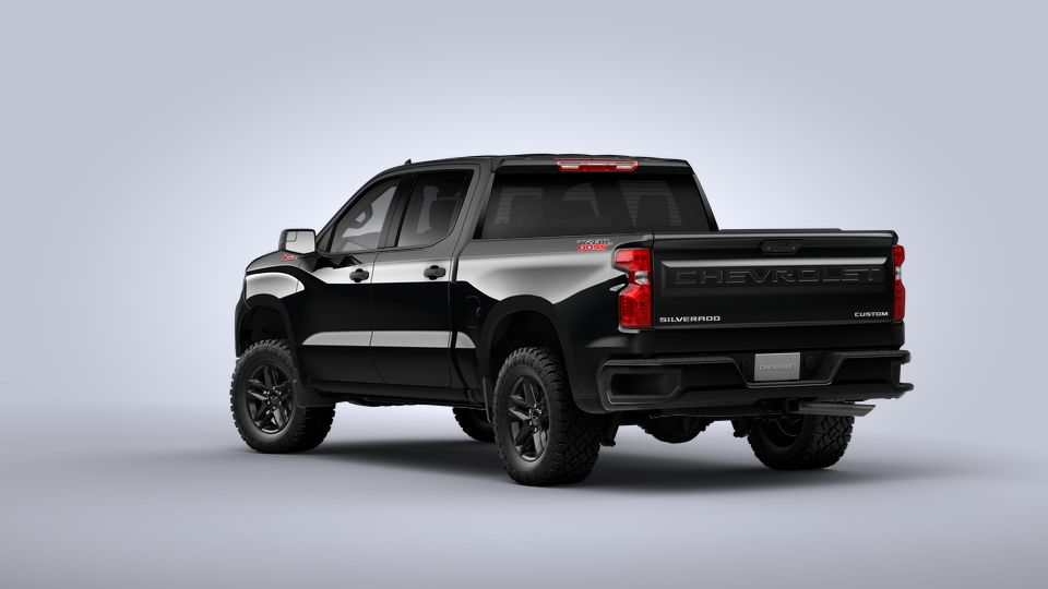 2022 Chevrolet Silverado 1500 Vehicle Photo in ANCHORAGE, AK 99515-2026