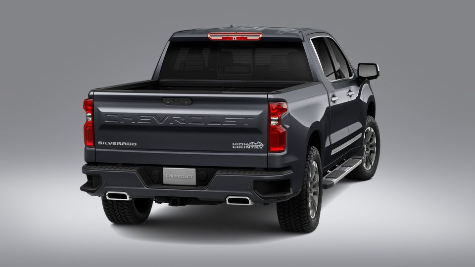 2023 Chevrolet Silverado 1500 Vehicle Photo in SELMA, TX 78154-1459