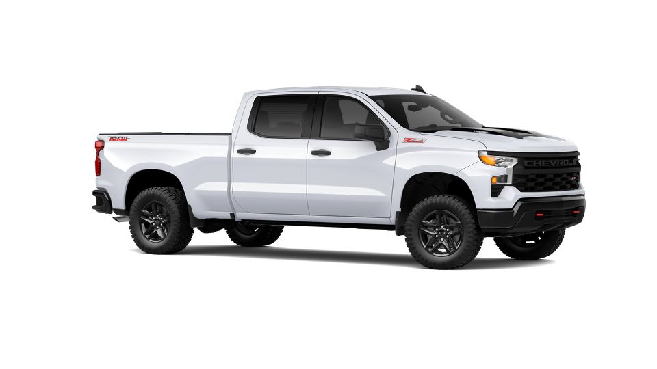 2024 Chevrolet Silverado 1500 Vehicle Photo in PITTSBURG, CA 94565-7121