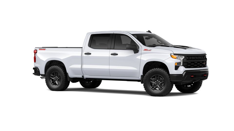 2025 Chevrolet Silverado 1500 Vehicle Photo in SAINT JAMES, NY 11780-3219