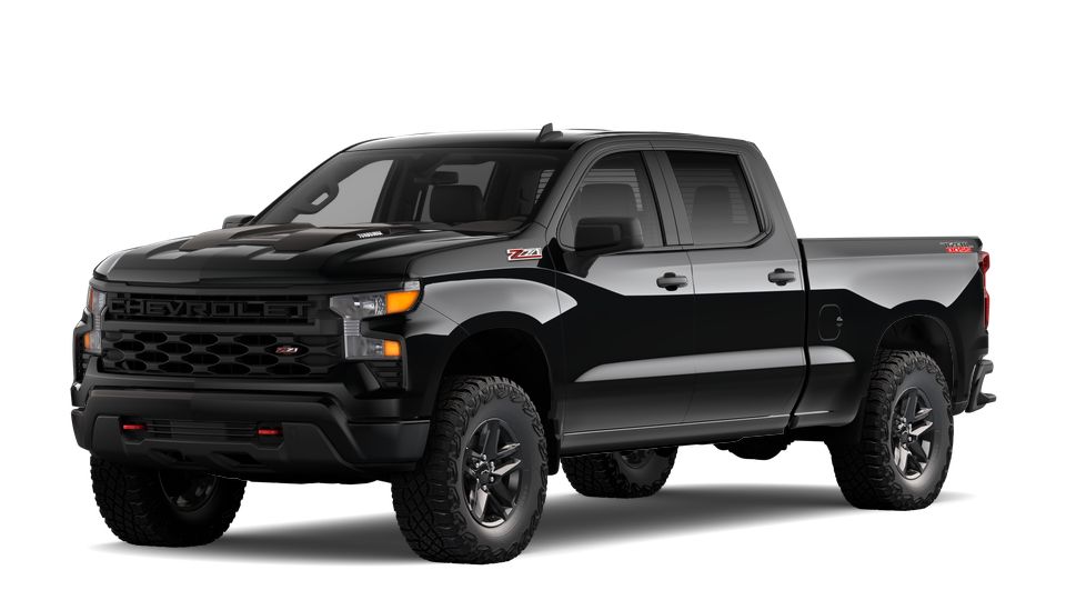 2025 Chevrolet Silverado 1500 Vehicle Photo in SAINT JAMES, NY 11780-3219