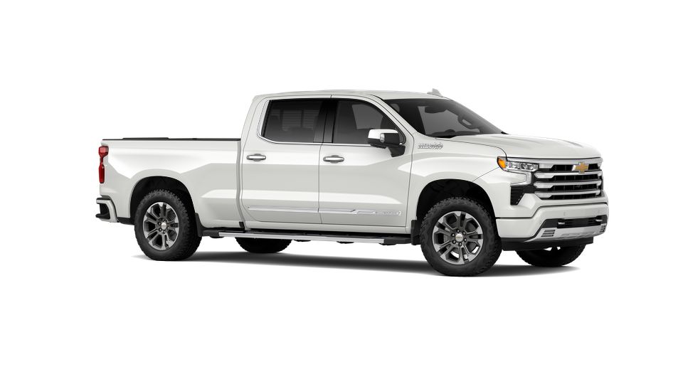 2025 Chevrolet Silverado 1500 Vehicle Photo in WASILLA, AK 99654-8339