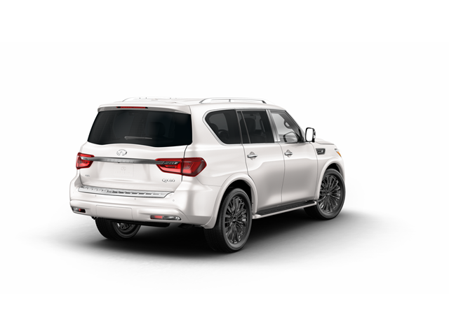 2024 INFINITI QX80 Vehicle Photo in San Antonio, TX 78230