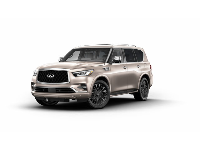 2024 INFINITI QX80 Vehicle Photo in San Antonio, TX 78230